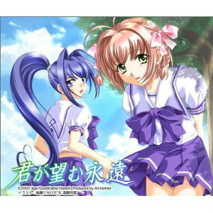 君が望む永遠 限定版(ドリームキャストソフト)