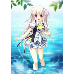 1／2 summer+ 限定版