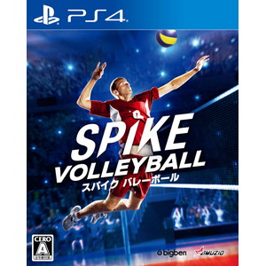 スパイク バレーボール