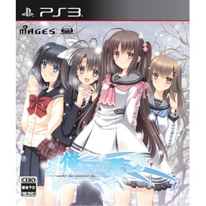 俺たちに翼はない 通常版