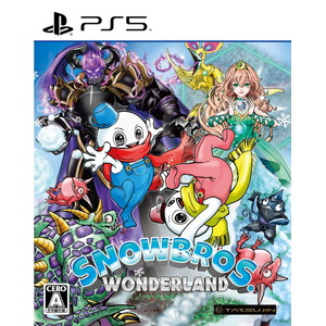 SNOW BROS. WONDERLAND