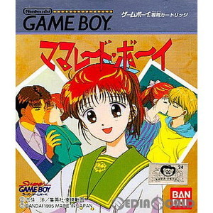 ママレード・ボーイ(MARMALADE BOY)