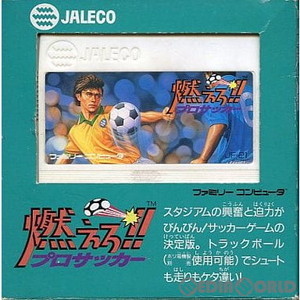 燃えろ!!プロテニス(ファミコンソフト)