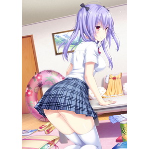 となりに彼女のいる幸せ 〜Summer Surprise〜 通常版