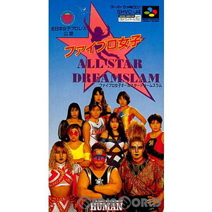 ファイプロ女子 オールスター ドリームスラム(ALL STAR DREAMSLAM)(スーパーファミコンソフト)