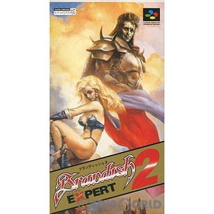 ブランディッシュ2 エキスパート(Brandish2 EXPERT) コーエー