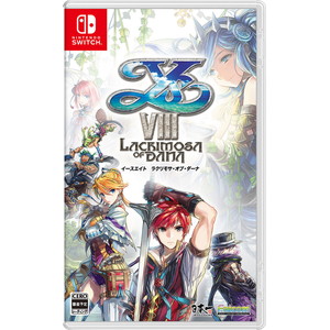 イースVIII -Lacrimosa of DANA-　Nintendo